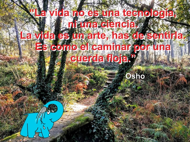 Una Enseñanza de Osho sobre La Vida, en La Frase del Día del Elefante Azul de Avilés